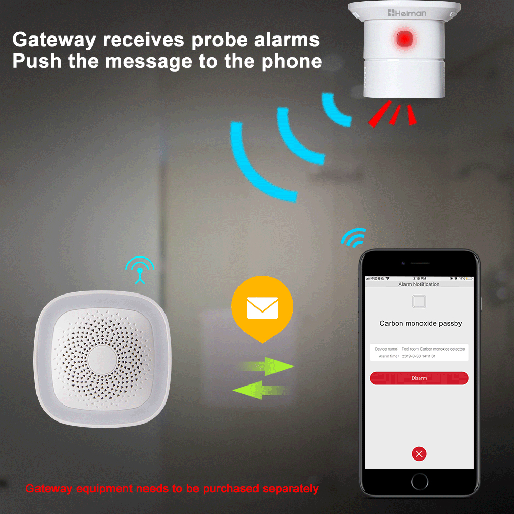 HEIMAN Zigbee Carbon monoxide  - огляд і ціна Smoke Leak Detector